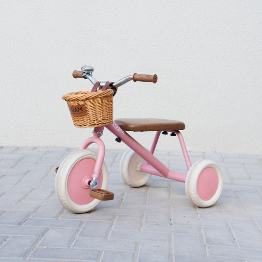 The Tiny Tricycle