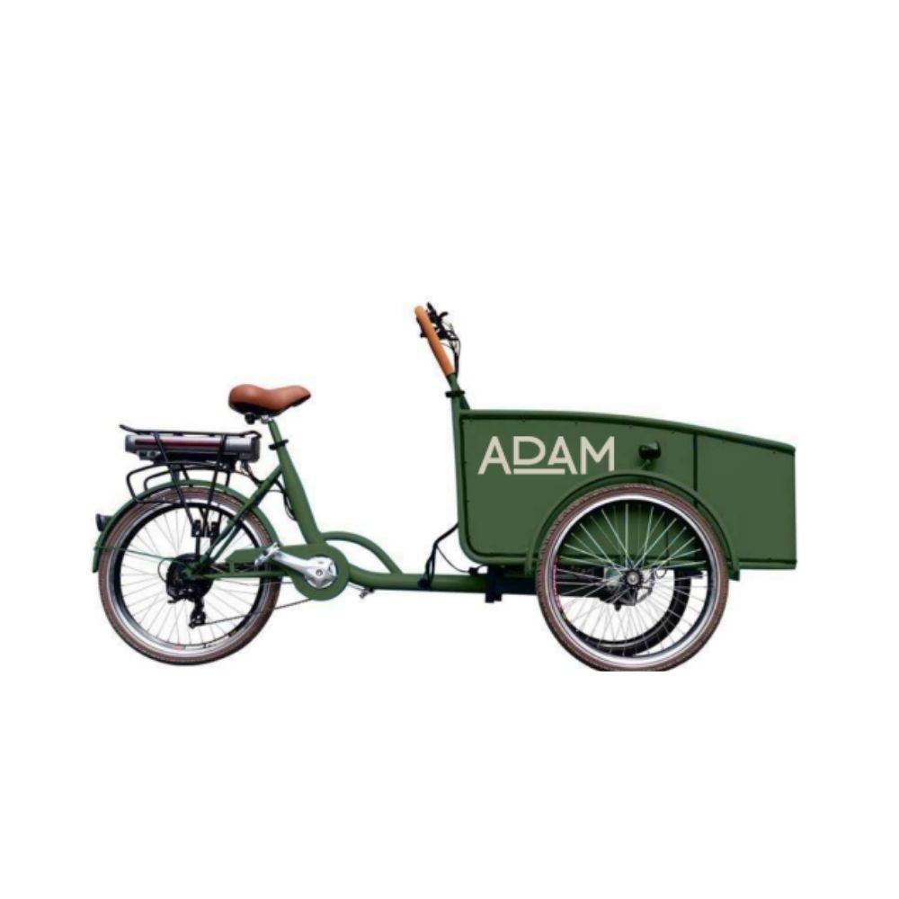 The Cargo Adam Electric - Steel Model