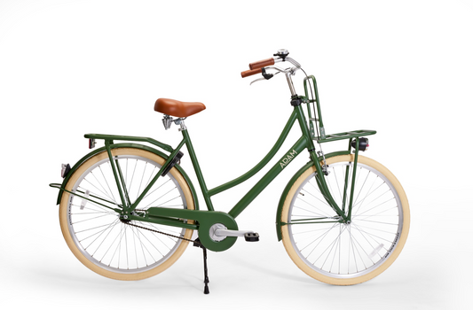 dutch style bicycle green