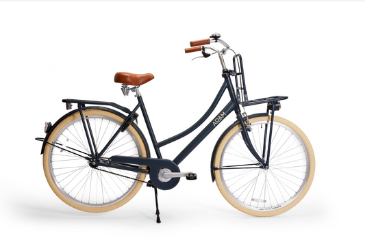 dutch style bicycle blue